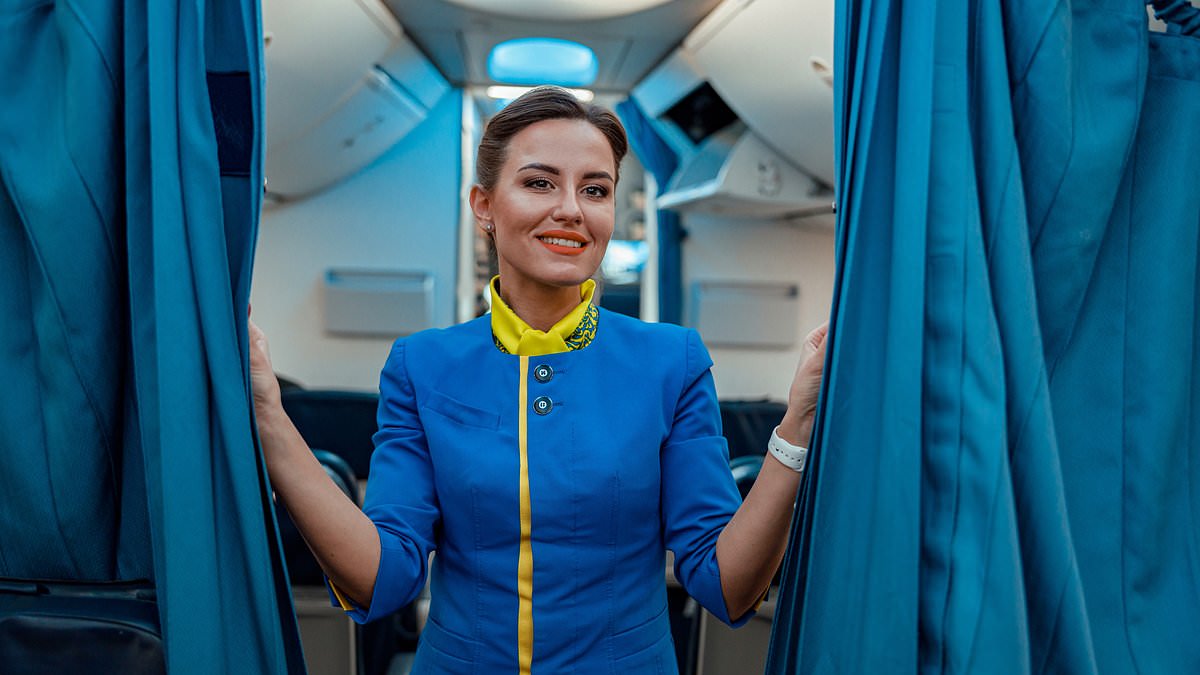 Flight attendant reveals the dirtiest area of a plane - and it's not where you'd expect