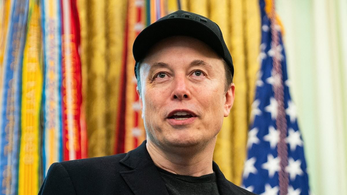 Musk backs Trump amid ICE riots
