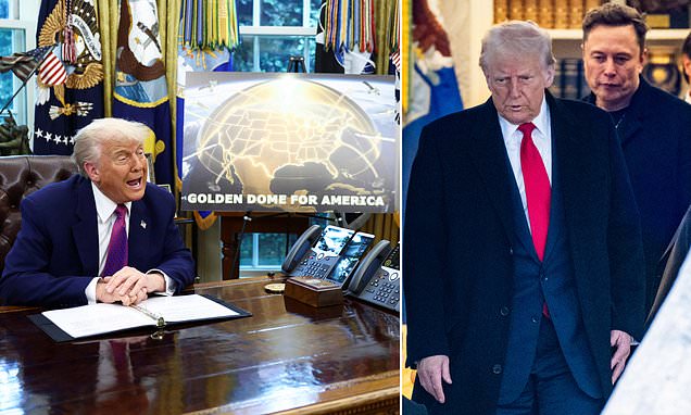 Elon Musk's role in building Trump's 'Golden Dome' shield in doubt