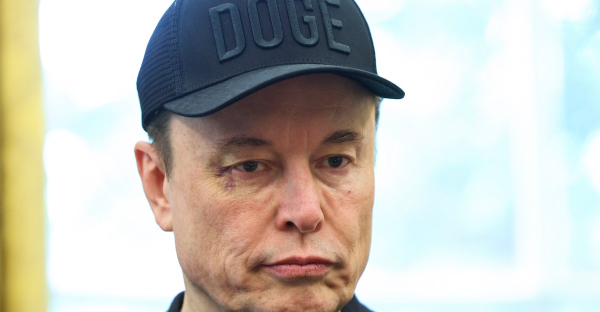 What happens to DOGE without Elon Musk?