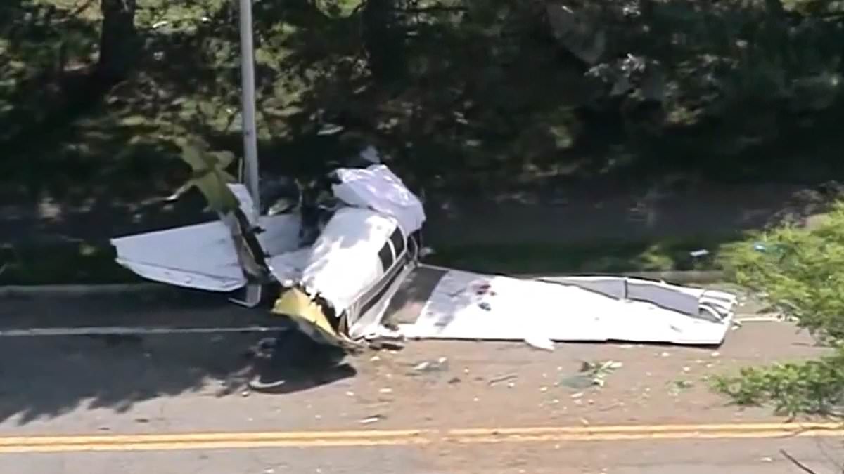 One dead and another rushed to hospital after plane crashes on street