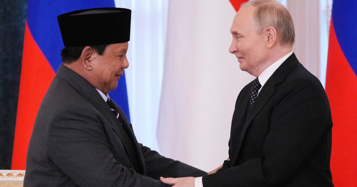 Russia, Indonesia deepen ties as Putin and Prabowo meet in St Petersburg