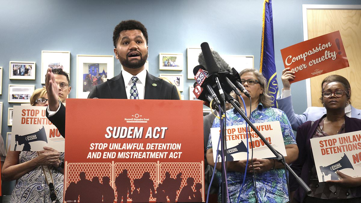 Leftist congressman puts forth radical plan to solve migrant issue