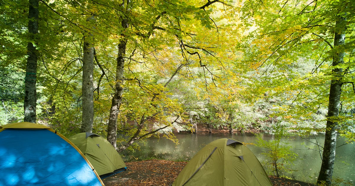 Abuse survivors left waiting too long for redress from Scouting Ireland