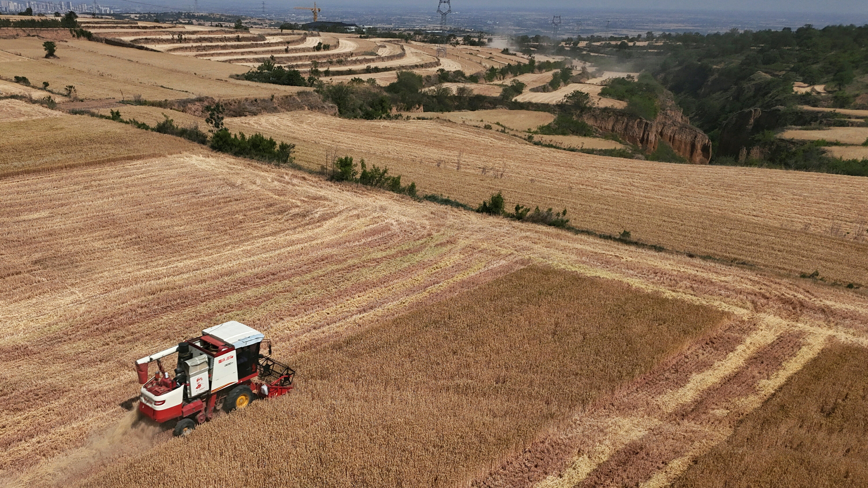 Drought Is Hurting Global Food Supplies
