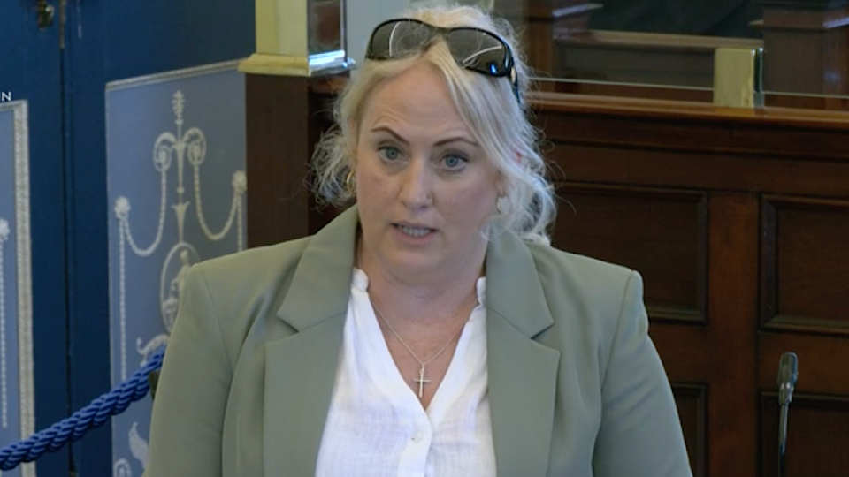 Senator: Foster Parents need Back to School Allowances