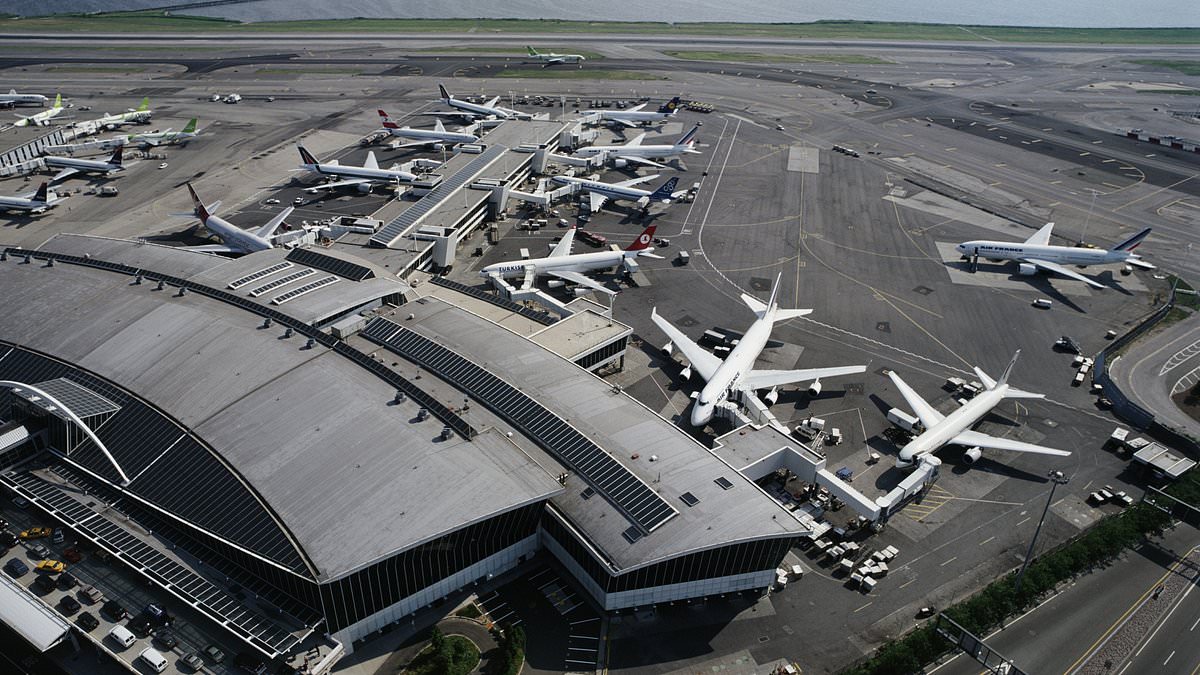 Travel pandemonium as major airports across America ground ALL flights
