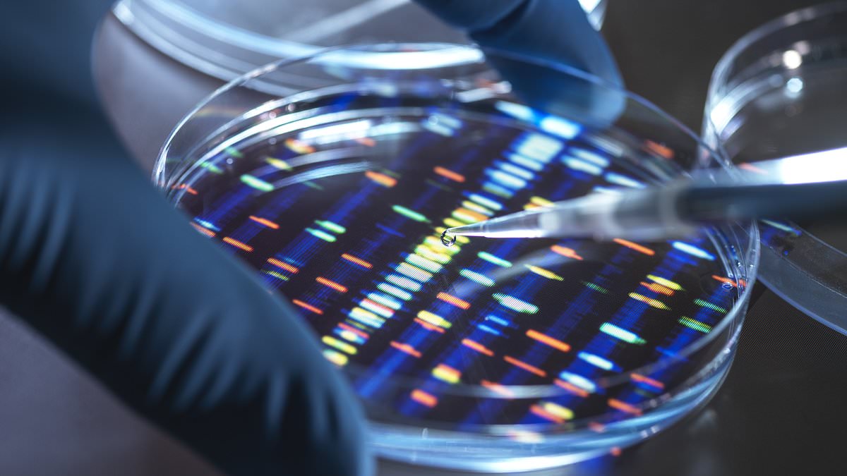 Scientists sound alarm over lab-made human DNA as 'God-like' project moves forward