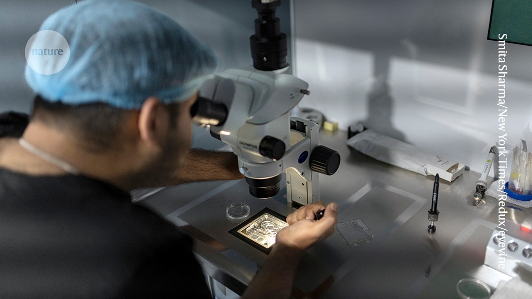 Human embryo research: how to move towards a 28-day limit