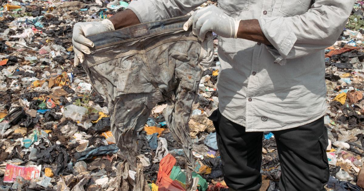 Fashion 'lays waste to wetlands'