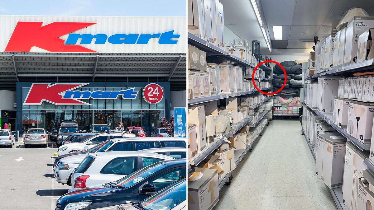 Kmart shoppers rave about $5.50 kitchen gadget 'everybody needs instantly'