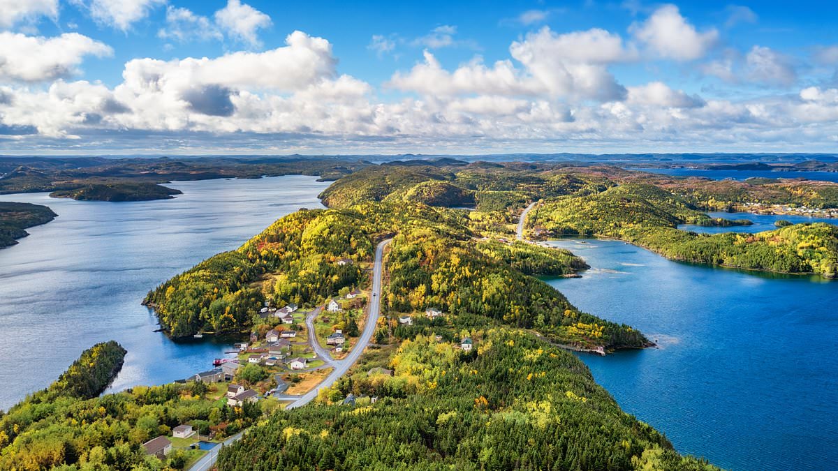 The world's richest (homeless) man could be driven to an idyllic safe haven... but it'll ignite a huge firestorm