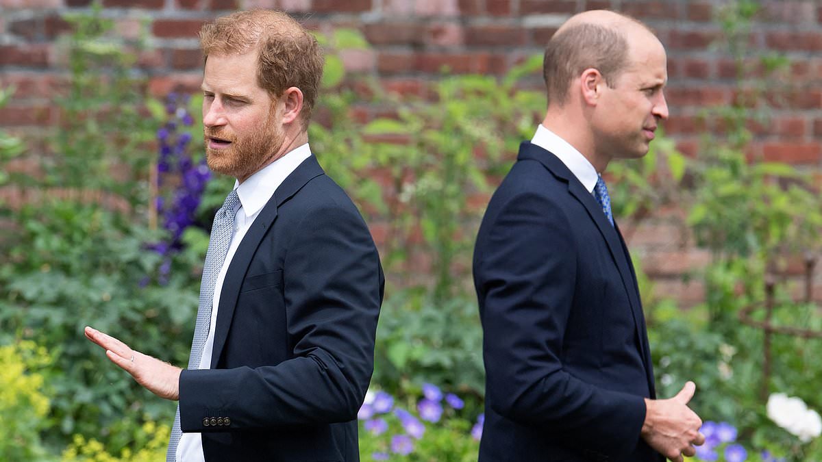 What Prince Harry and Prince William could learn from Liam and Noel Gallagher as the Oasis frontmen gear up for their reunion tour