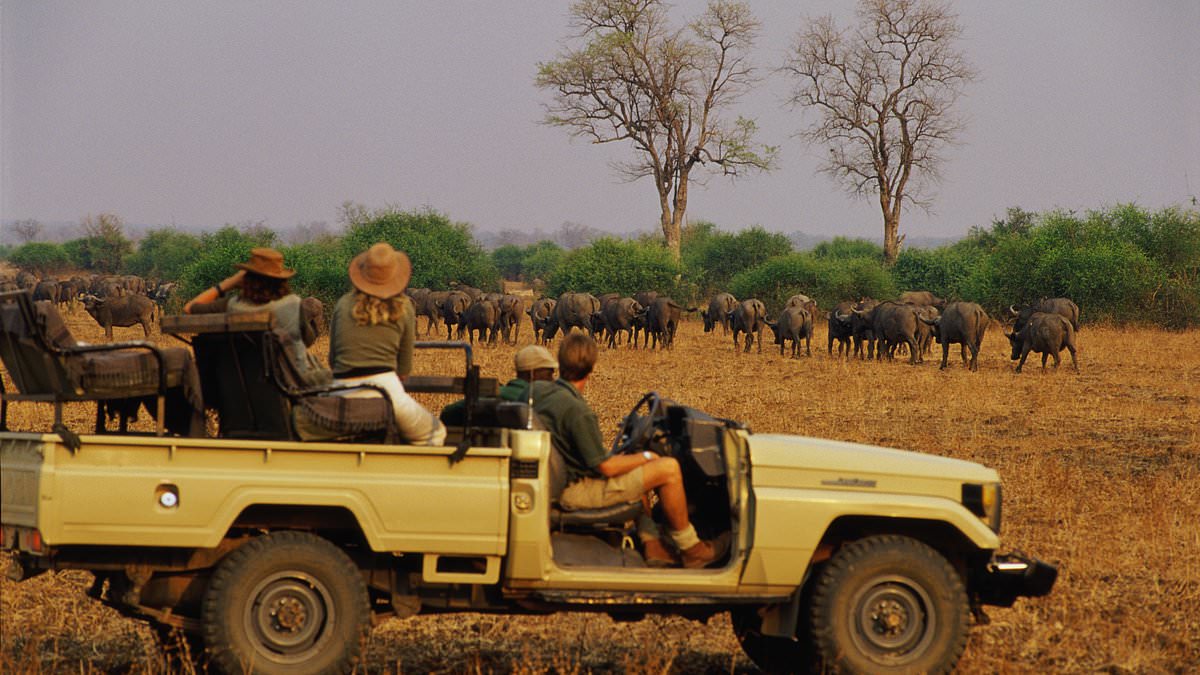 British tourist who was killed alongside her pal by an elephant 'had been on a sunrise safari walk' when mammal with calf charged at group at full speed