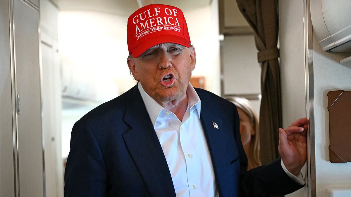 Trump outs himself as source spilling on 'crazy' Elon as top adviser blames rants on 'ketamine talking'