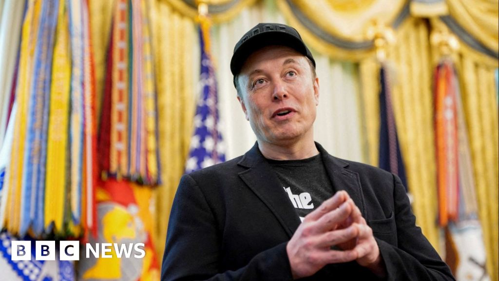 How an Elon Musk party could divide Trump's support