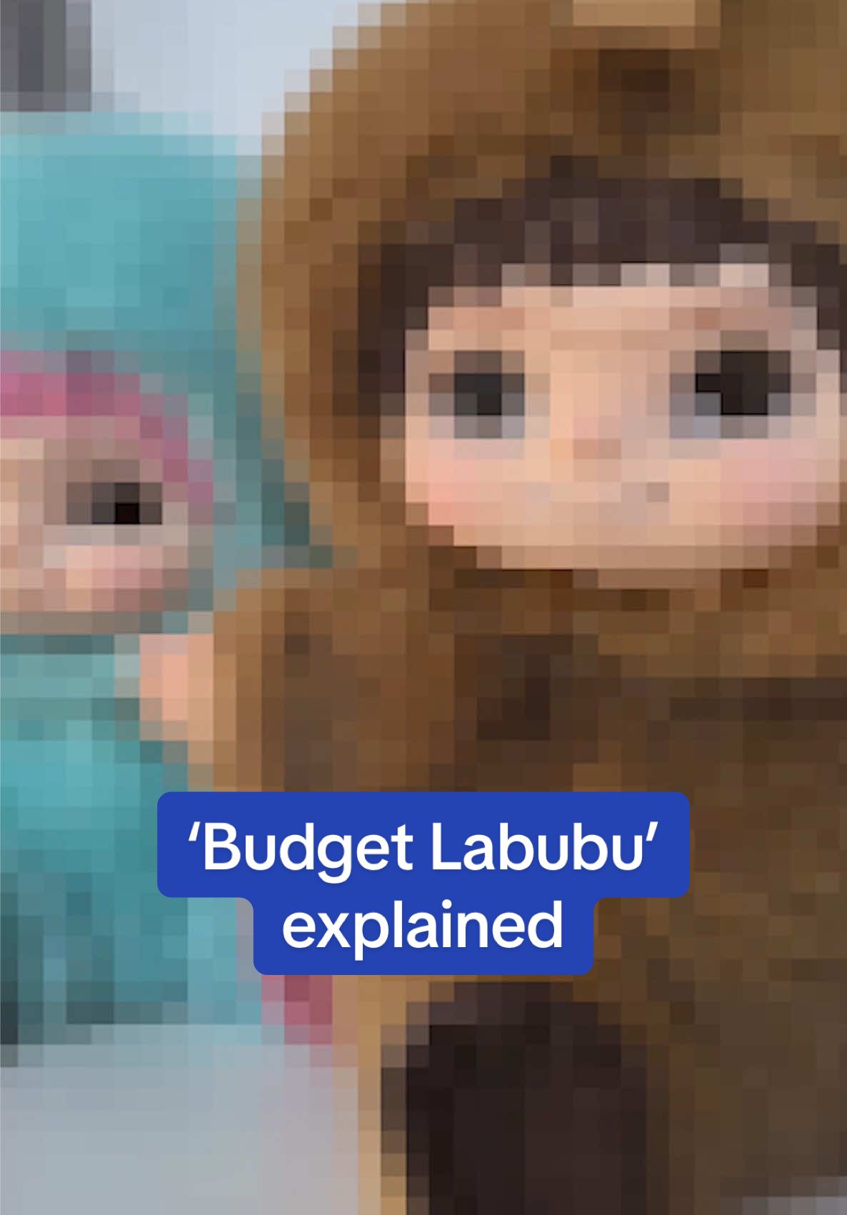 The ugly-cute market just got a new addition: Wakuku, the so-called 'budget Labubu’! Which toy is your favorite? #labubu #toys #collectables #wakuku