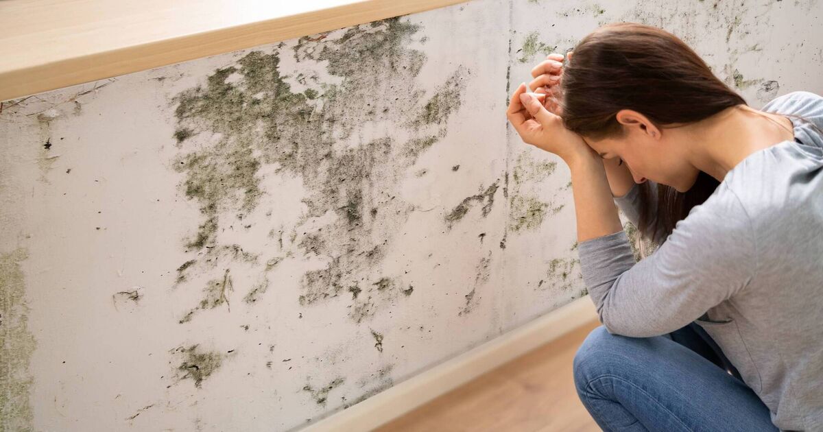 A guide to surviving student accommodation