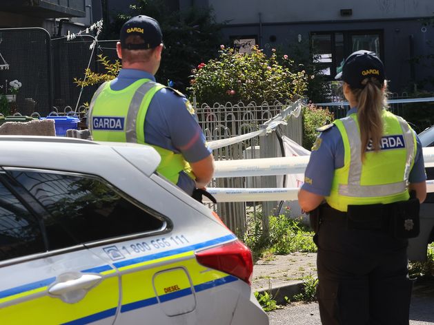 Limerick pensioner was beaten to death with vodka bottle a in bag, gardai believe