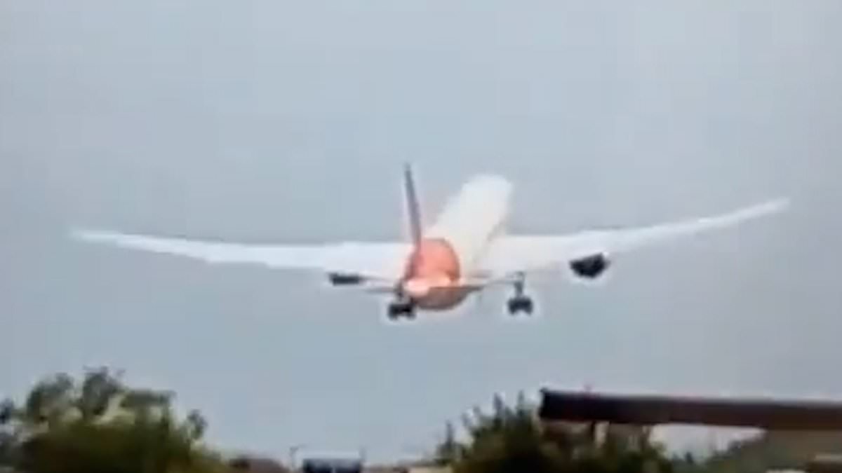 Revealed: Air India pilots' final words to before tragic crash