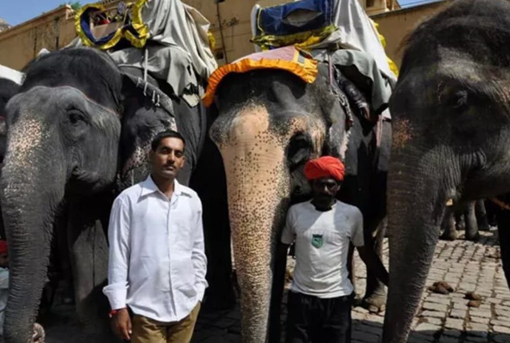 I was laughed at for making paper from elephant poo – now business is booming