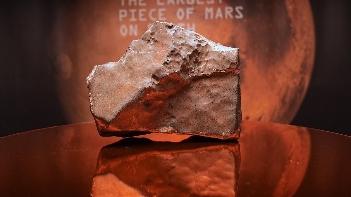 Largest Martian meteorite EVER found on Earth to go on sale this week: Huge 25kg rock that travelled 140 million miles to Earth could fetch a whopping £3 MILLION at auction