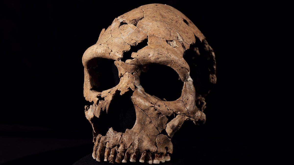 Suffer from headaches? Your 250,000-year-old ancestors could be to blame