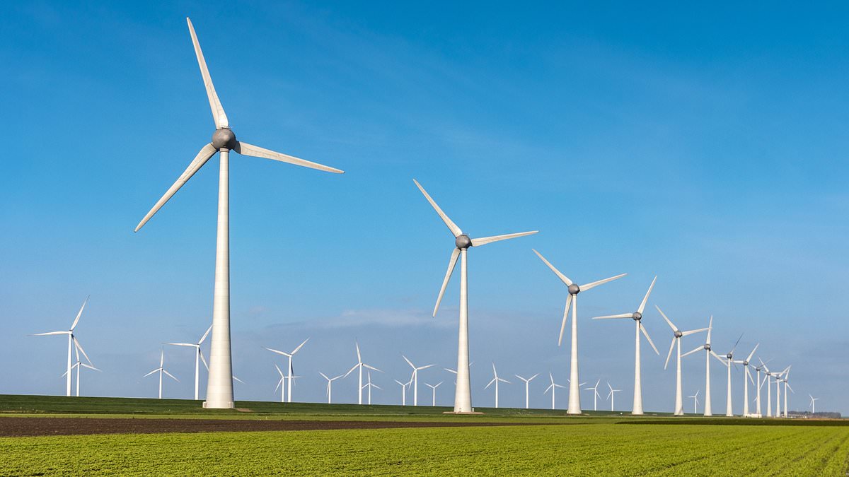 Netherlands RATIONS electricity as country struggles to cope with turning away from gas as part of green policies - as expert warns Britain is also 'in trouble'