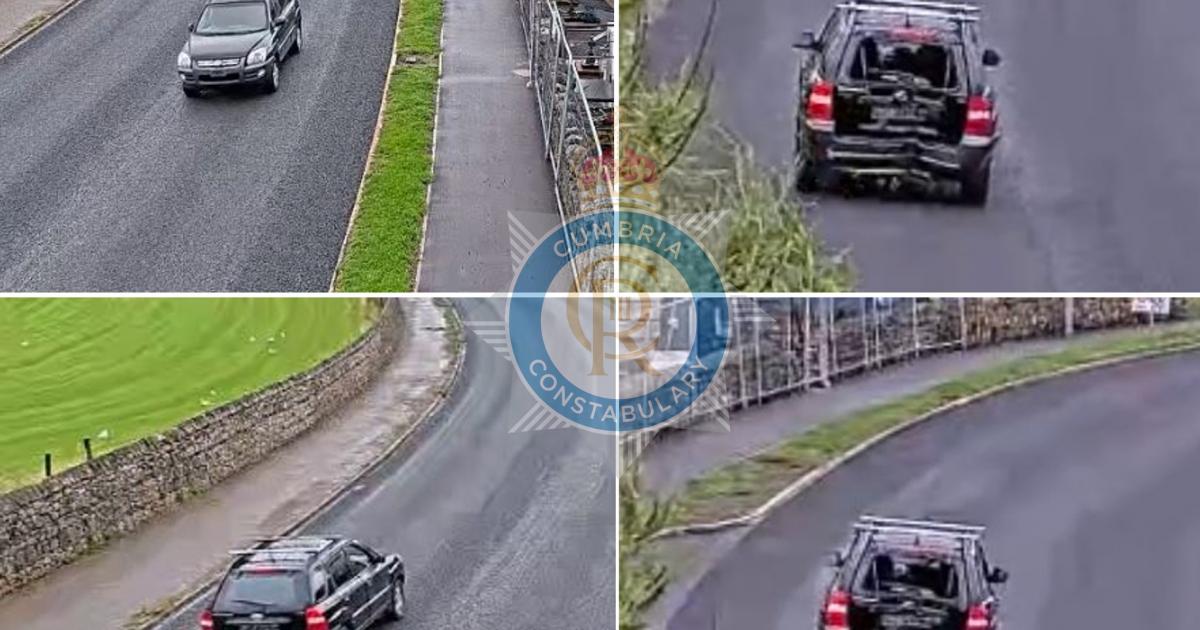 Driver removed registration plates before backing into new pole