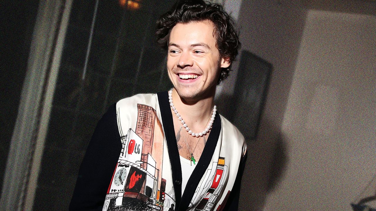 Are Celebrity Sex Toys The New Celebrity Beauty Brands? Harry Styles Thinks So