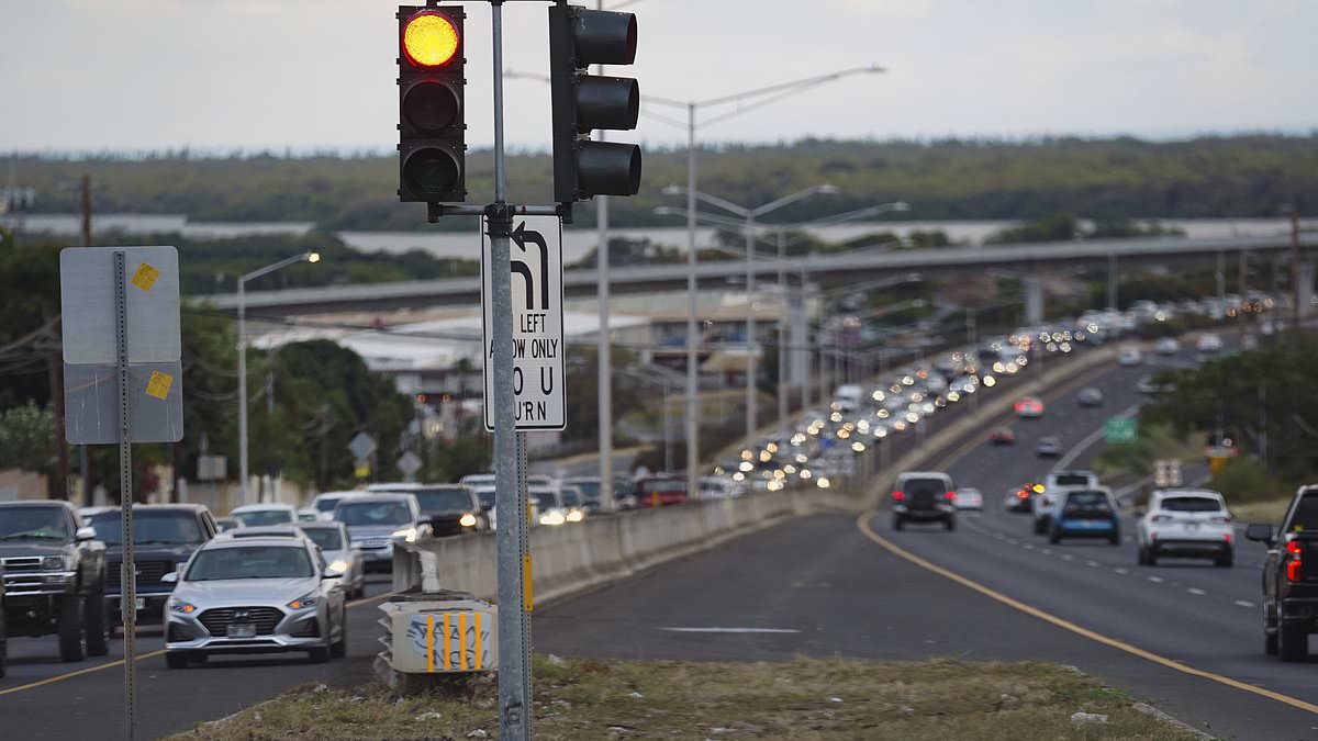Panicking Americans head for higher ground sparking huge traffic jams after tsunami alarm rings out in Hawaii... while others go surfing and cheer from skyscrapers