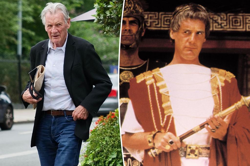 'Monty Python' star Michael Palin, 82, details his will plans after...