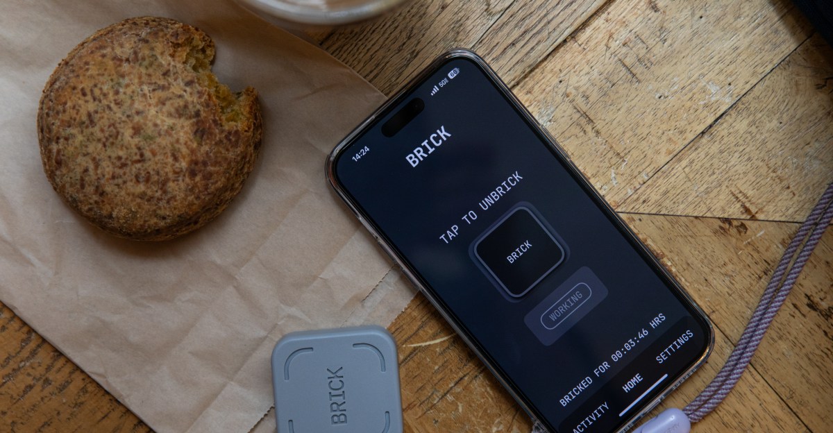 I tried ‘Bricking’ my phone to fix my brain