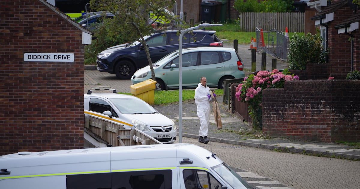 Tougher gun laws introduced after Keyham and Woodmancote shootings
