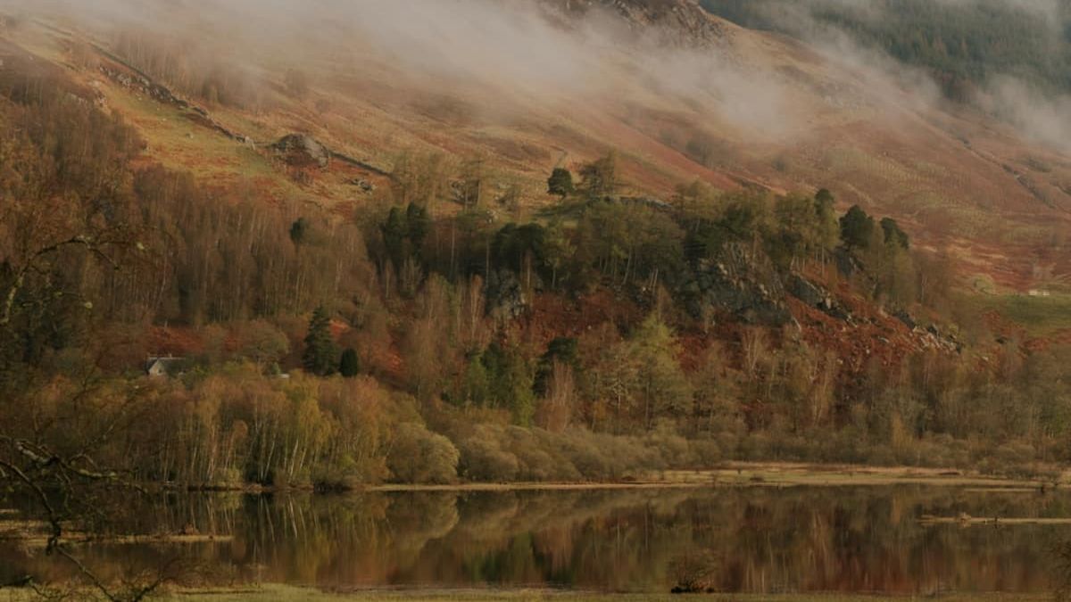 7 Best Places to Travel in Fall, From Upstate Cabins to French Vineyards