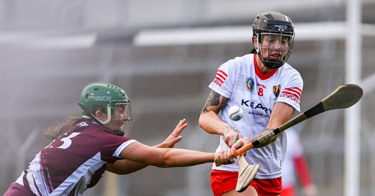 All-Ireland senior camogie final player-by-player guide: Cork v Galway