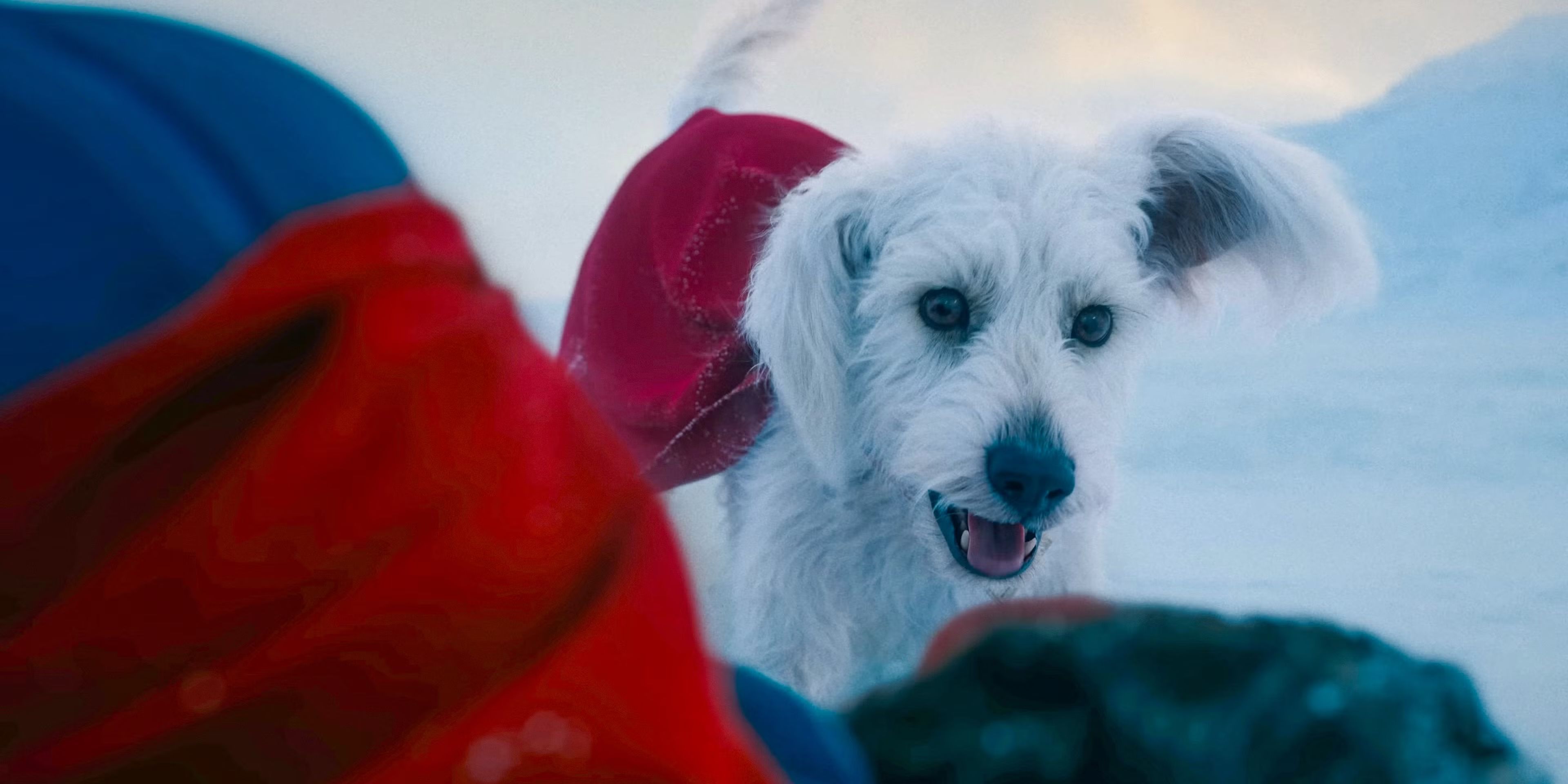 Superman, Fixed and every new movie you can watch on streaming this weekend