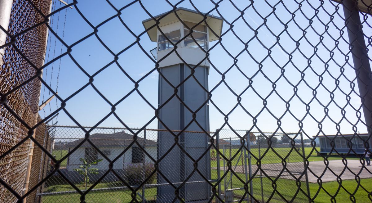 The Next Alligator Alcatraz Could Be in Your State