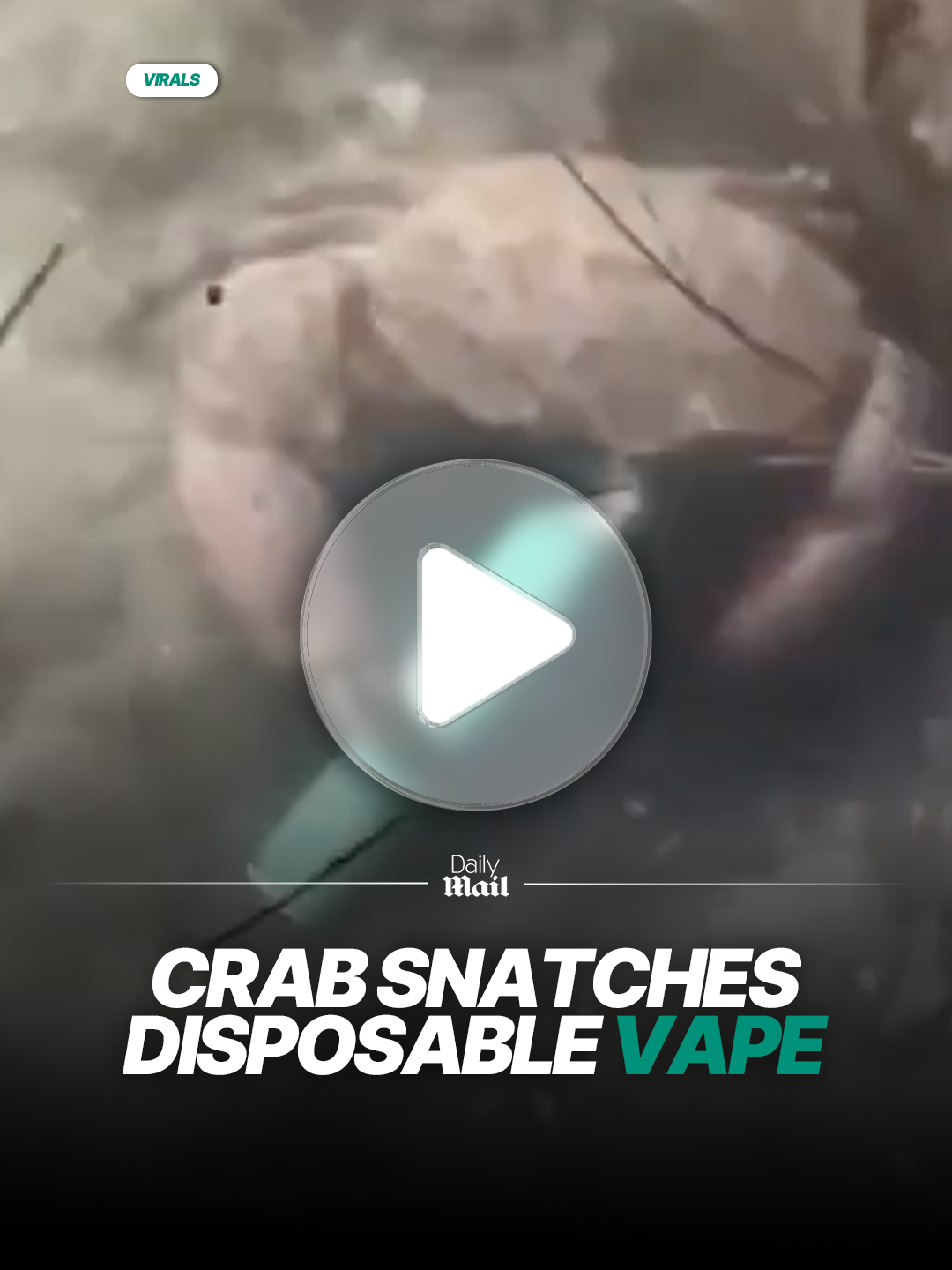 A crab was caught on camera picking up a vape and imitating smok*ng... should we be concerned? #animals #crabs #pollution