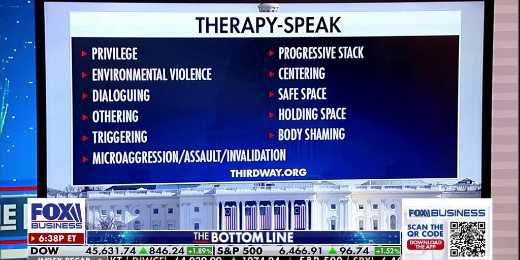 'Woke' language causes divide among centrist Democrats
