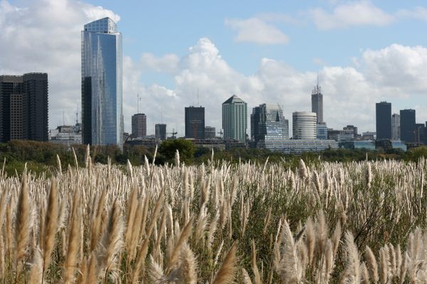 Costanera Sur Ecological Reserve in Buenos Aires, Argentina