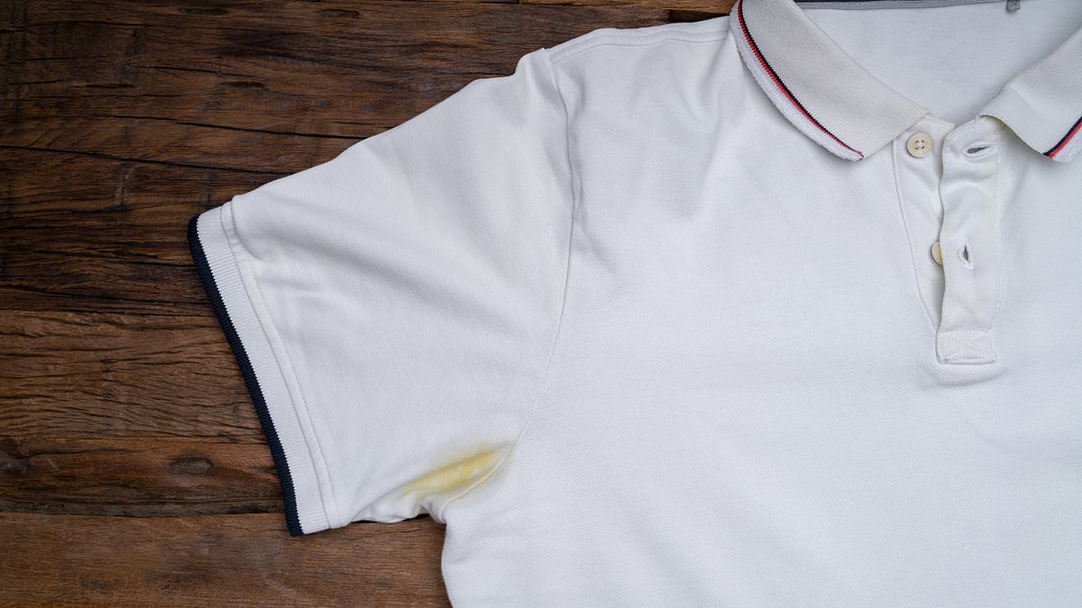 You're cleaning your clothes wrong! Scientists reveal the best way to get rid of yellow stains - and it's NOT with bleach