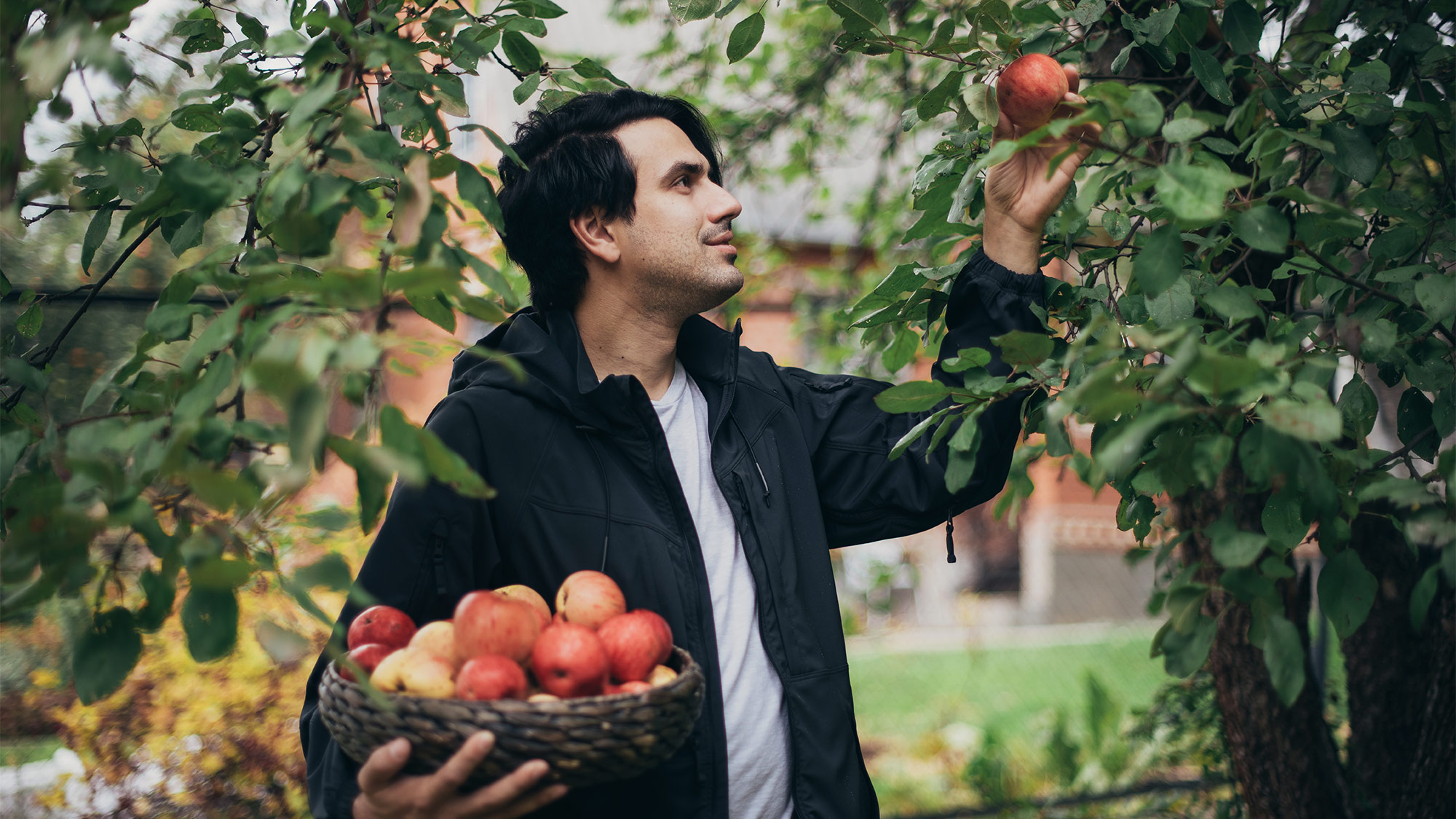 Tips For Apple Picking