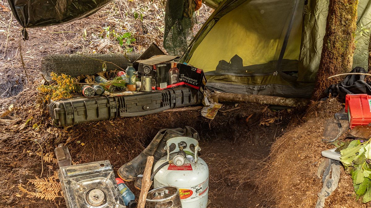 Inside the very rudimentary campsite used by fugitive father Tom Phillips and his children - as photos expose the 'grim' hideout hidden in the New Zealand wilderness