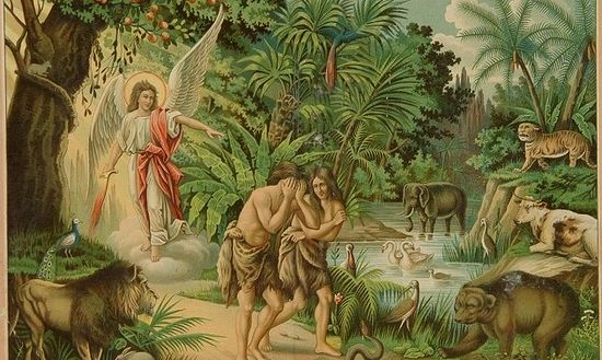 RT by @Cobratate: Forgiveness ≠ Justice Forgiveness is commanded of us as Christians. Christ on the Cross prayed, “Father, forgive them, for they know not what they do.” Forgiveness cleanses the soul of hatred, prevents the poison of resentment from taking root, and hands judgment over to God.… pic.