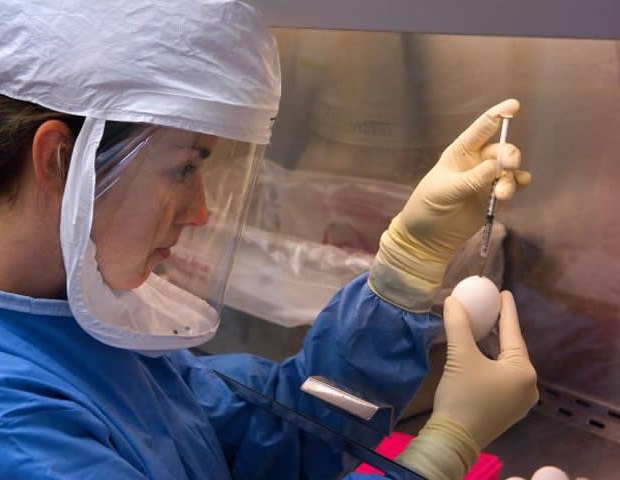Study reveals global differences in balancing health and economy during COVID-19