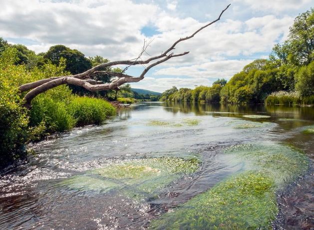 Leading Cork ecologist says it’s high time we stopped putting our waste into rivers