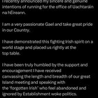 Conor McGregor ends campaign to become President of Ireland