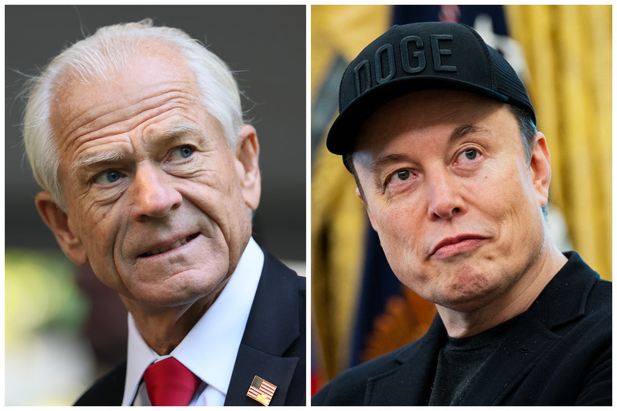 Peter Navarro calls on Musk to cleanse ‘cesspool’ on X and ban anonymous users