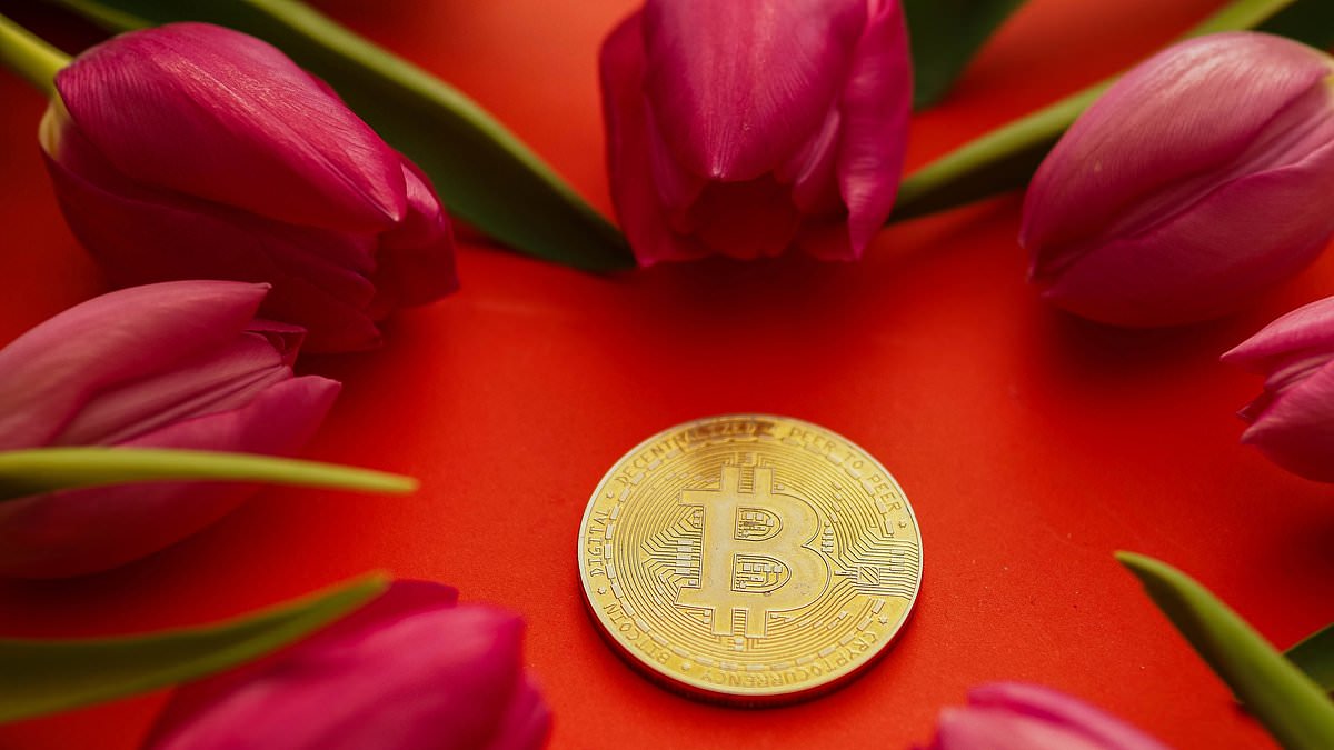 Beware the crypto scammers, warns ALEX BRUMMER